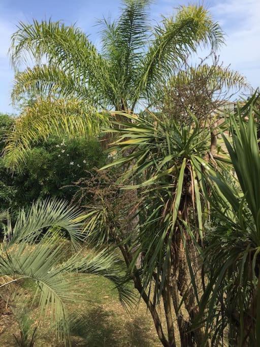 גהיסונאצ'יה Mare E Monte , Jardin Mediterraneen Et Exotique. מראה חיצוני תמונה